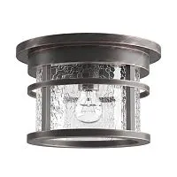 Уличный потолочный светильник SONEX Virta 4044/1C стекло прозрачное 